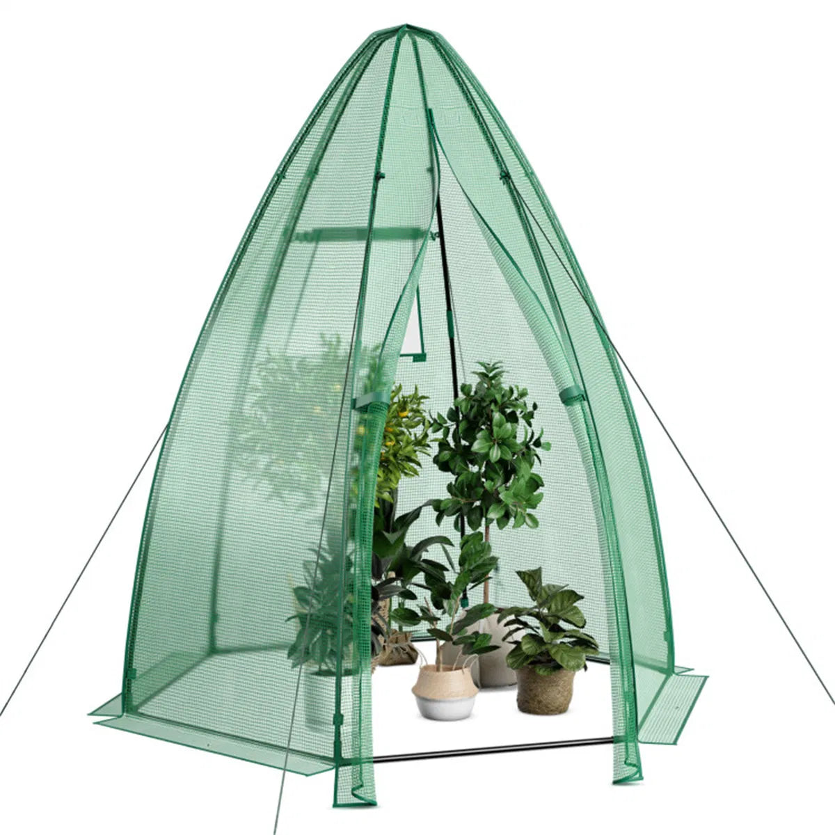Mini greenhouse with the cover zipped closed