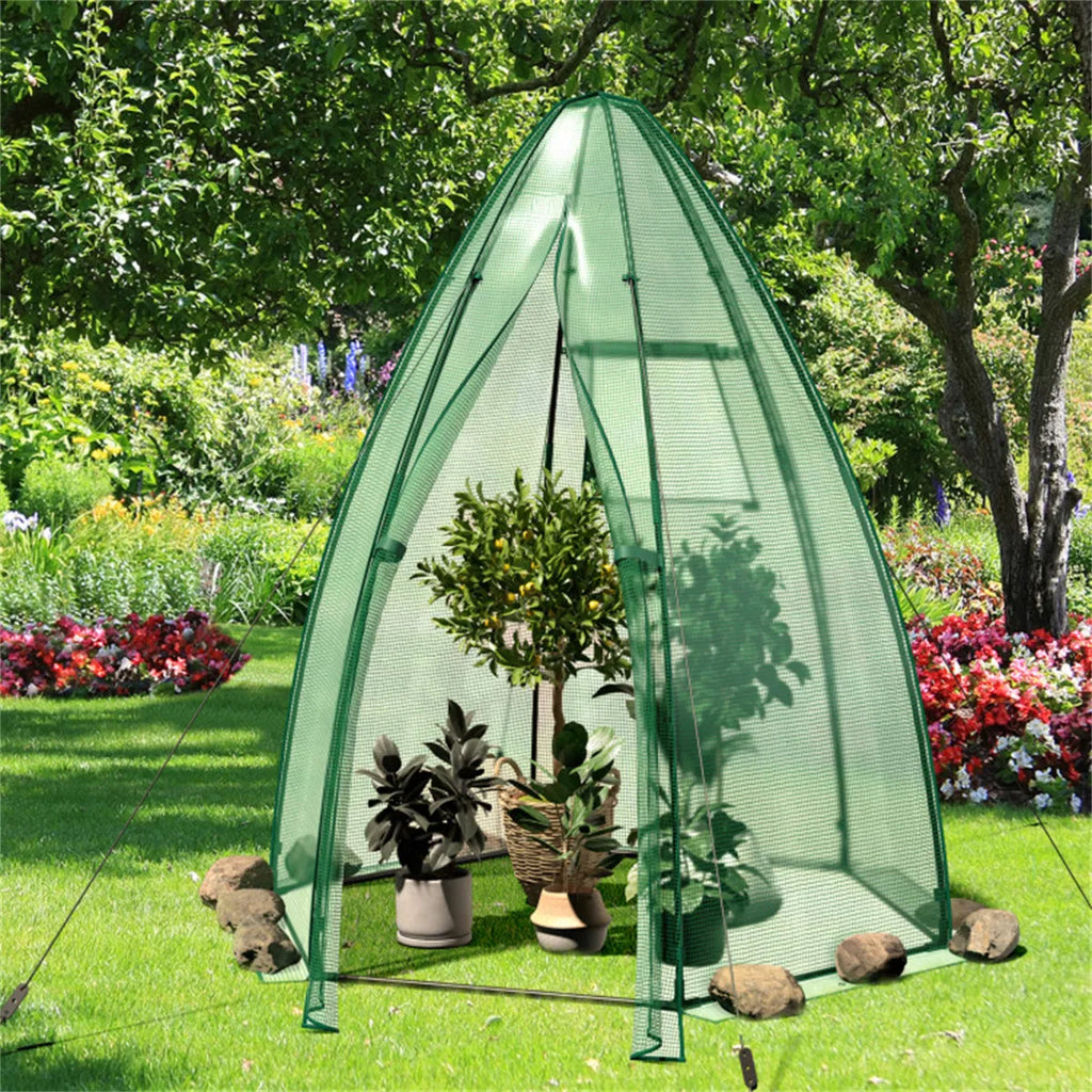 Hexagonal greenhouse set up on a lawn