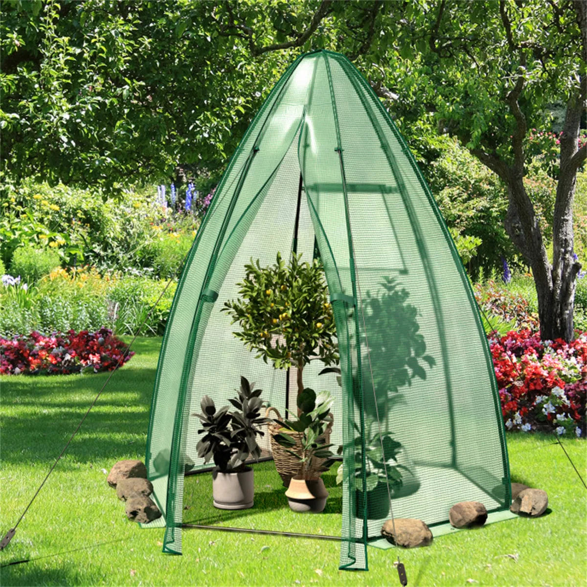 Hexagonal greenhouse set up on a lawn