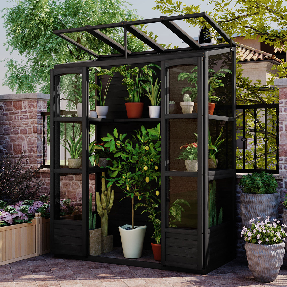 Wooden walk-in cold frame greenhouse with skylights open