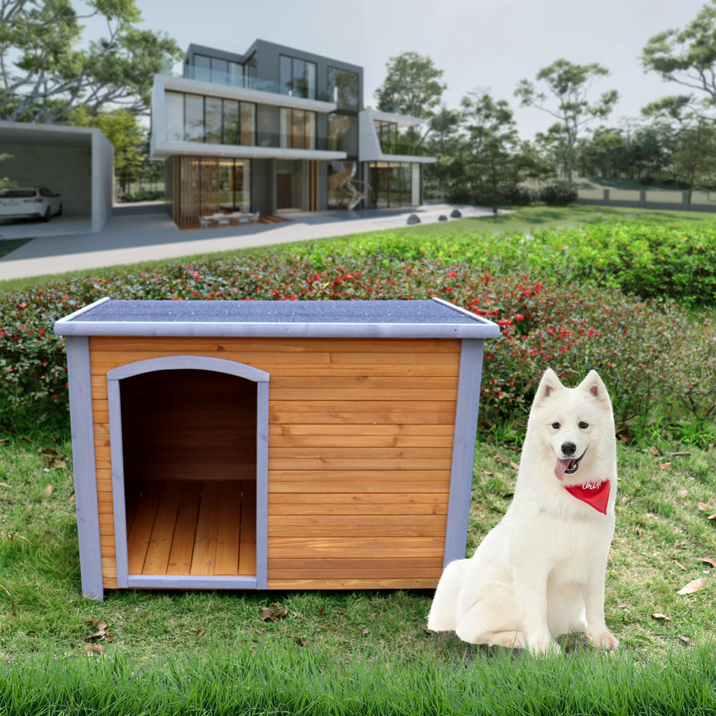 Wooden dog house outdoors with a large dog beside it