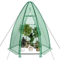 Hexagonal mini greenhouse covering potted plants