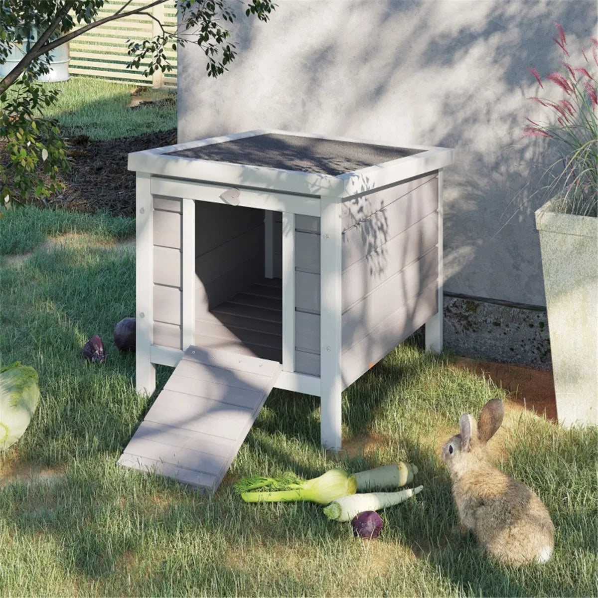 Rabbits beside the elevated hutch