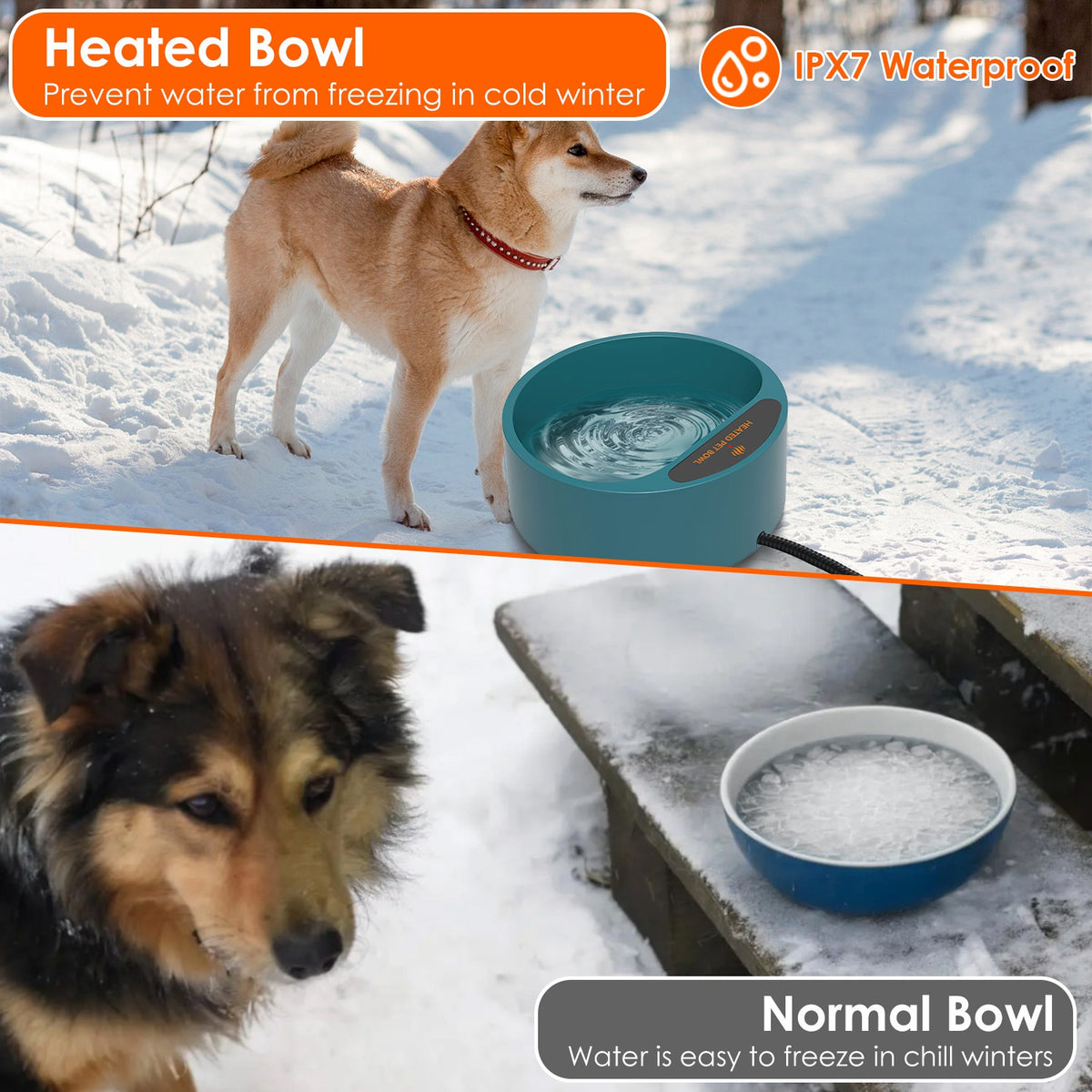 Heated pet bowl in snow beside a dog