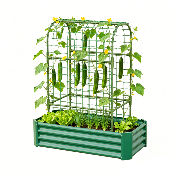Cucumbers hanging down through the arch