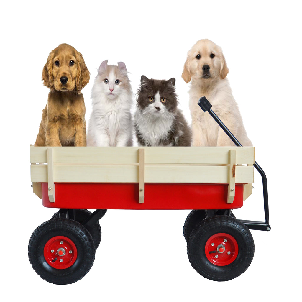 Four puppies and a kitten riding in the red wagon