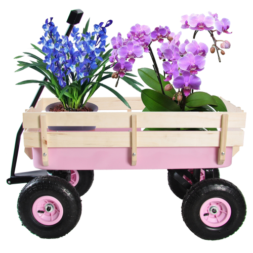 All-Terrain Garden Wagon